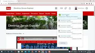 File-based Brightspace Import/Export