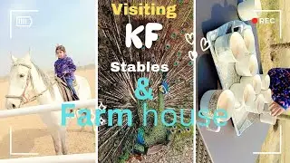 Horse Riding & Farm Adventures||KF Astable