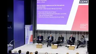 Panel on Global Imbalances and the International Monetary Order