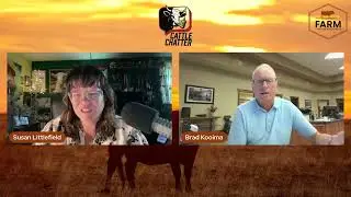 USDA Reports Cattle on Feed Down 2%, Inventory Slips 1% | 7/25/25