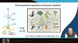 Lecrture 12: Biosynthesis of tropane alkaloids #swayamprabha #CH31SP