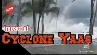 Impact of cyclone YAAS. Damage and impact compilation of the cyclone