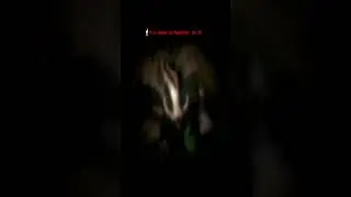 Como cuando juegas Ark