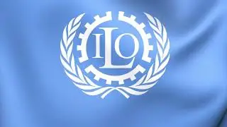 Ditwah சூறாவளியால் ஏற்பட்ட இழப்புக்கள்- ILO அறிக்கை. #Srilanka #Ditwah #todaynews #news #tamilnews 