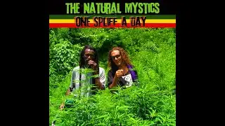 One Spliff a Day / The Natural Mystics / Lyric