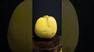 Satisfying old coconut cutting #shorts #coconut
