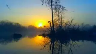 Relaxing Nature - 3 Hour Surreal Sunrise - Florida Bird Sounds - No Music