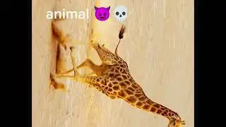  Dangerous animal line king 👑 interesting animal videos #animal #🐎😈