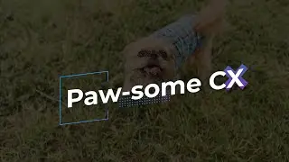 Elevating Customer Service for Advanced Pet Technology: A Working Solutions Success Story