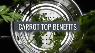 Health Benefits of Carrot Greens