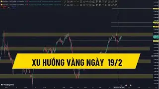 XU HƯỚNG V&Agrave;NG NG&Agrave;Y 19/2 | Tchannel |