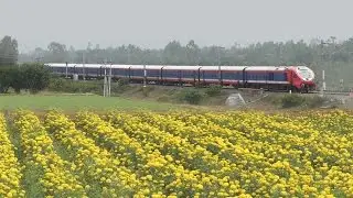 Trains in the Winter Fog : Indian Railways