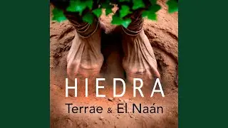 Hiedra