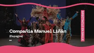 Compa&ntilde;ia Manuel Li&ntilde;an (Espagne)