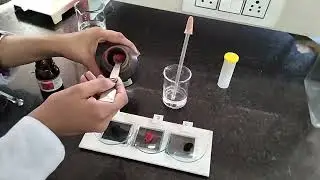 Separation of Components from a Mixture of Red and Blue dye by Paper Chromatography