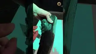 🤩 Забежали в Lamoda Sport &mdash; заценить новую Balenciaga x Adidas. Носили бы или на полку?