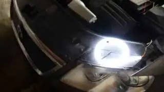 ledky