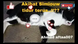 Gara gara Simiouw tidur saja||Silouna akhirnya begini!!??@Ahmadaftaa007
