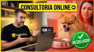 A CHEGADA DE UM NOVO FILHOTE: Como lidar com ciúmes e brigas (Atendimento Real)
