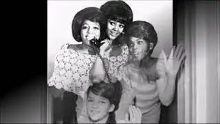 60's Girl Group The Seekers ~ La La Lover