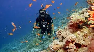 EGIPT, Diving @ Read Sea