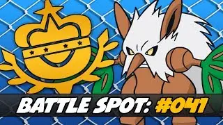 Pokemon Battle Spot 041