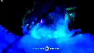 Ori and the blind forest: Ginso Tree escape - Perfect run (one try, no damage, all collectables)