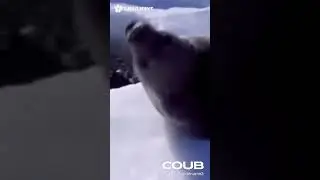 Ты Горишь Как Огонь  ANIMAL COVER #shorts