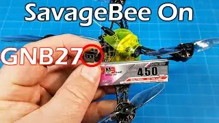 SavageBee With GNB27 // No Science // Entertainment