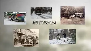 Нарва Сториз. Автобусы
