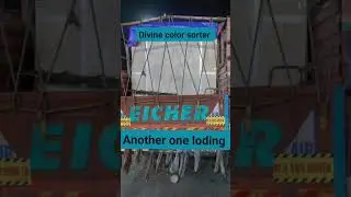 divine color sorter another one loding #topservice