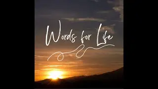 Are you ready to walk among the clouds? | Words for Life