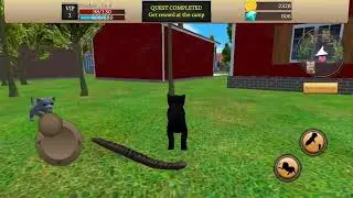 Cat simulator again