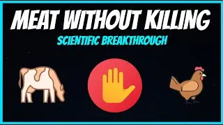 How scientists prepare meat without killing [ Lab grown meat ]