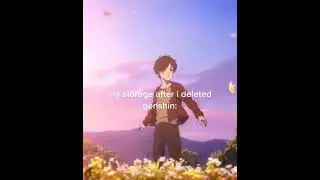 my storage after deleted genshin
