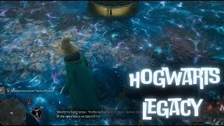 HOGWARTS LEGACY | Впервые прохожу Хогвартс Легаси за члена семьи Блэков
