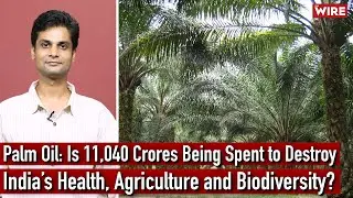 Palm Oil: Is Rs 11,040 Crore Being Spent to Destroy India&rsquo;s Health, Agriculture and Biodiversity?