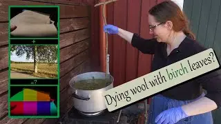 Colouring wool using birch leaves - Does it work?