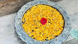 МаслаПати, масла-суд, снова масалаПати, бесплатный массаж за отзыв, и снова пати, пати.Вот это жизнь