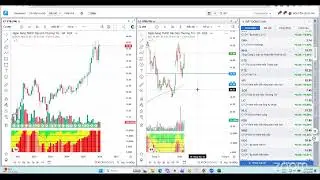 THỊ TRƯỜNG VẬN ĐỘNG BẤT THƯỜNG