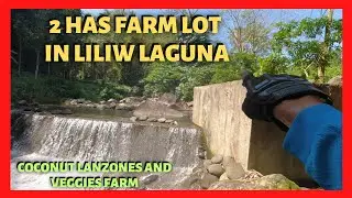 20,000 sqm Farm in Liliw Laguna for Sale (Lot Code: 2409)