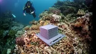 Emmett Duffy: MarineGEO &ndash; Taking the Pulse of the Coastal Ocean