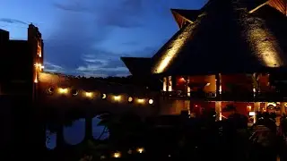 Daytime with Stingrays in Tulum and Night time Music in Xochimilco