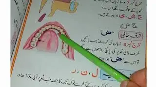 Zaban ki karwat aur nok ka naqsha