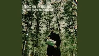 inanmak r&uuml;zgara