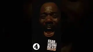 Top des spin-off de The Walking Dead #series #thewalkingdead #daryldixon #deadcity #walkingdeadfan