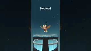 Evolve Hoothoot To Noctowl #pokemon #pokemongo