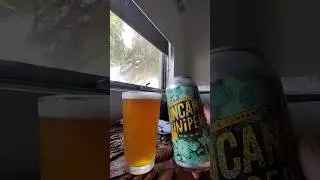 Duncan's Brewing Juniper IPA Beer 7% Abv