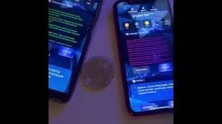 Crypto wallet analyzer