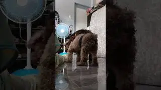 play time ang mag ama